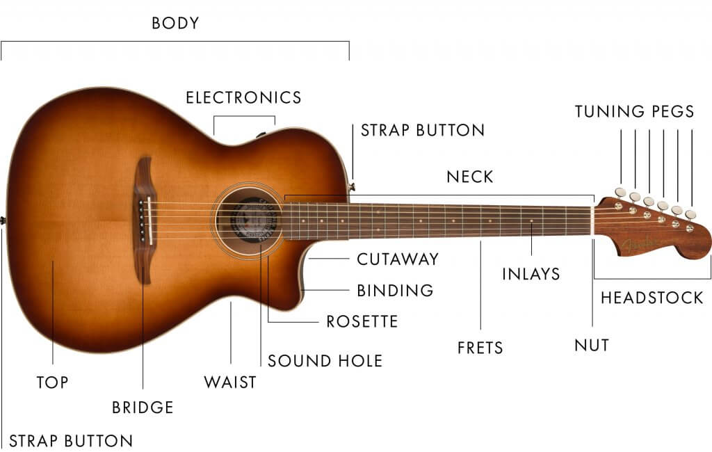 The basic anatomy of an acoustic guitar